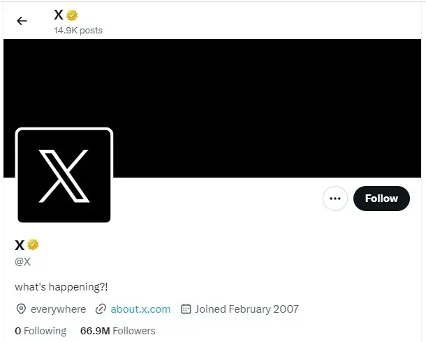 X (formerly Twitter) Bio