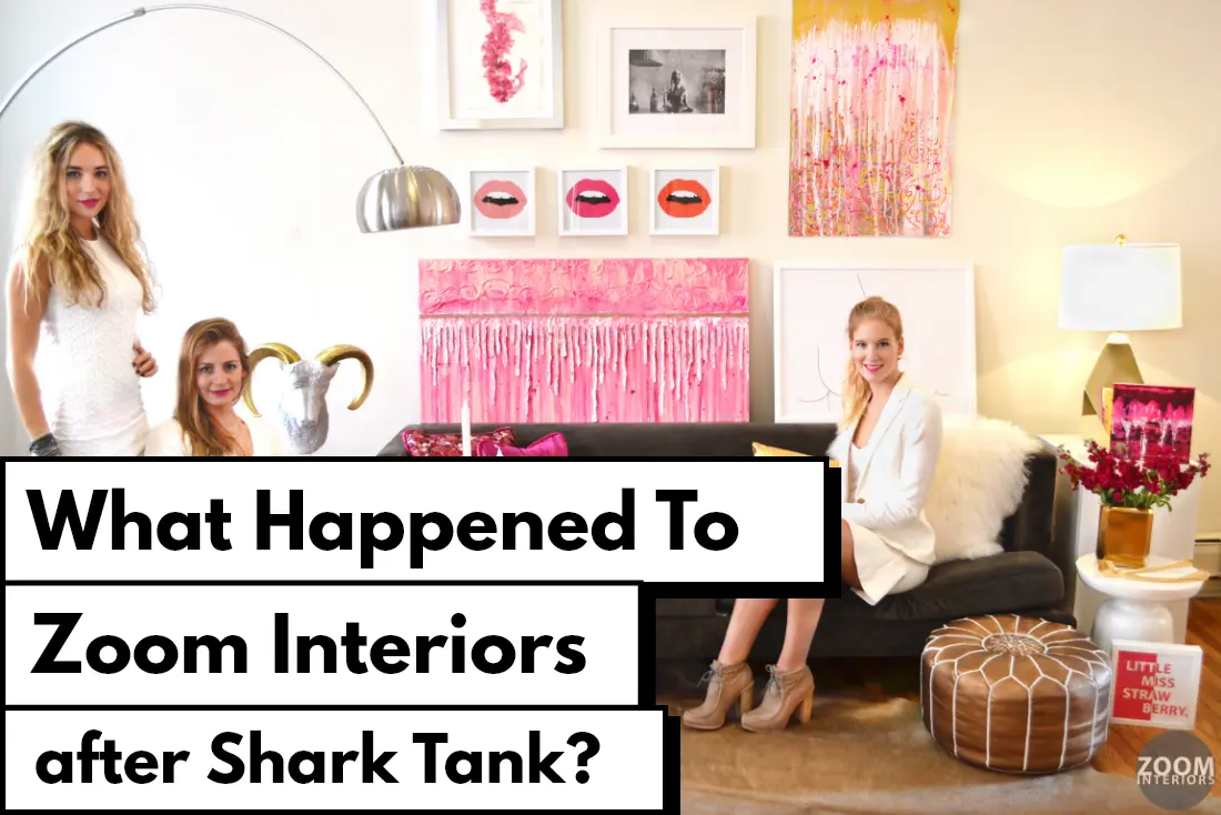 Zoom Interiors: What happened to zoom interiors after Shark Tank?